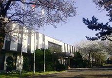 TOKYO BRANCH