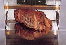 Roast Beef 2.0mm slice thickness