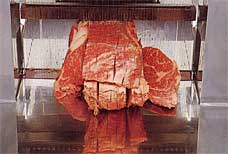 Beef Rib Roast 3.0mm slice thickness